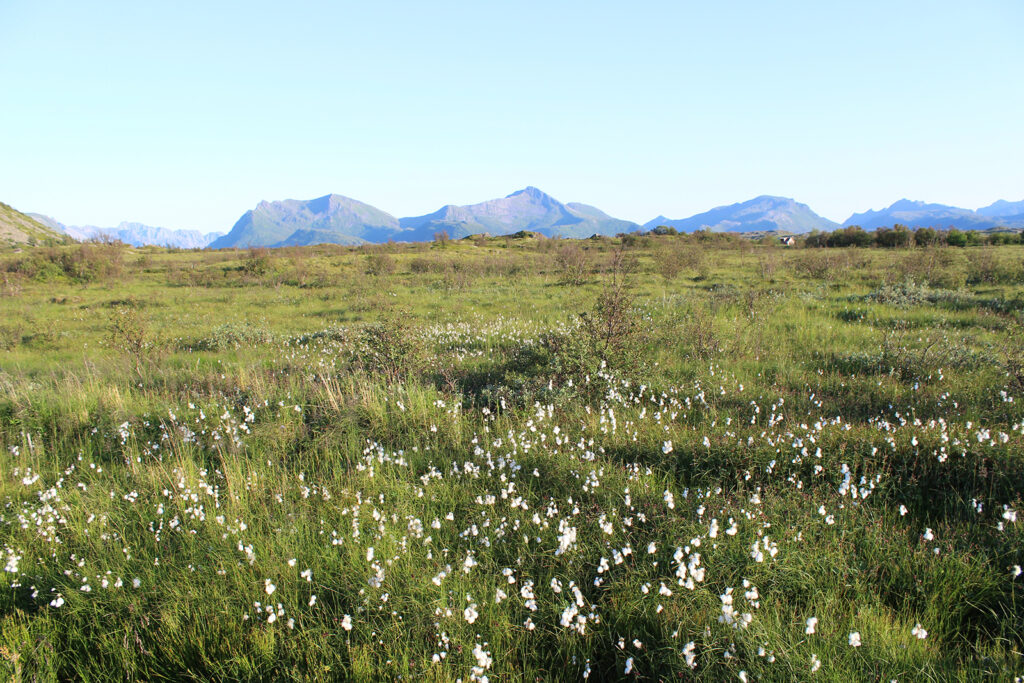 Plaine des méandres